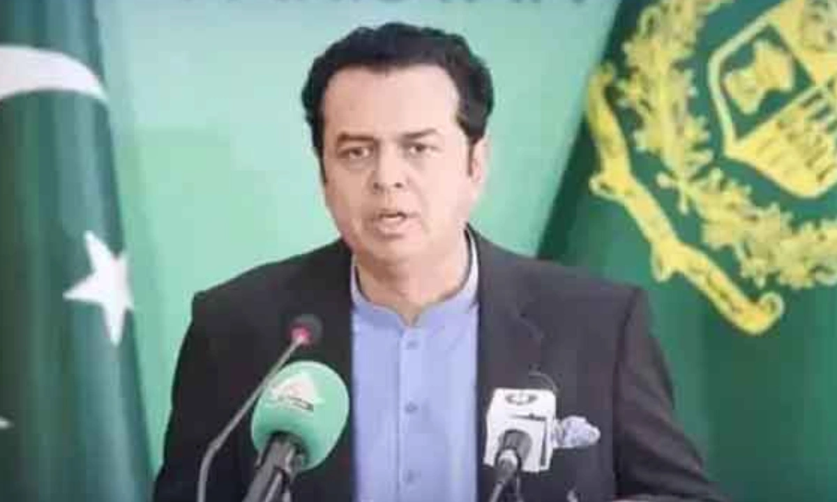 اسلام آباد پر دوبارہ چڑھائی ہوئی تو سختی سے روکیں گے،طلال چوہدری