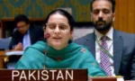 بھارت دہشت گرد گروہوں کی معاونت کرتا ہے،صائمہ سلیم( فائل فوٹو)