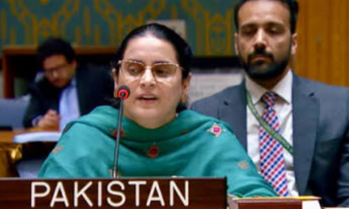 بھارت دہشت گرد گروہوں کی معاونت کرتا ہے،صائمہ سلیم( فائل فوٹو)