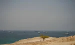 فائل فوٹو