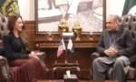 وفاقی وزیر داخلہ محسن نقوی سے پاکستان میں امریکی سفیر نیٹلی بیکر کی ملاقات