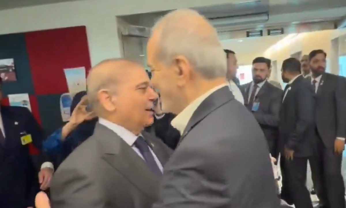 شہباز شریف اور مسعود پزشکیان کی ملاقات، پاک ایران تعلقات پر تبادلہ خیال