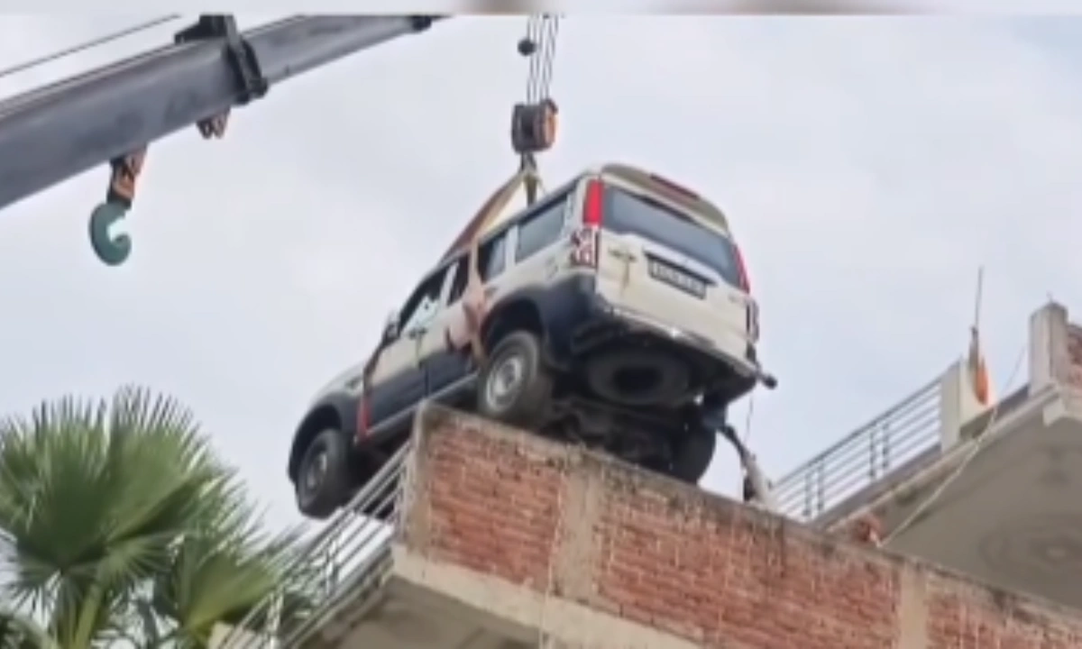فوٹو سوشل میڈیا ( انسٹا گرام)