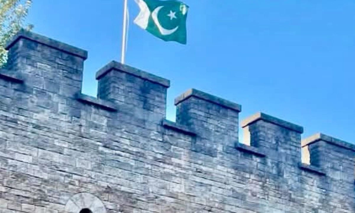 فوٹو سوشل میڈیا