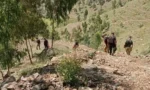 فوٹو سوشل میڈیا ( فیس بک)