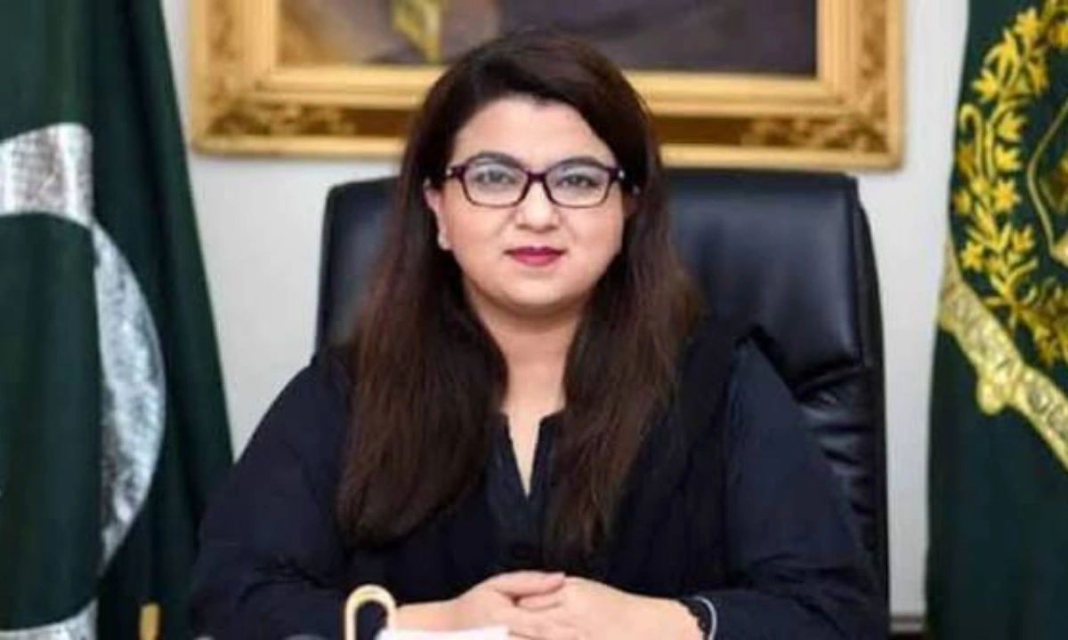 ٹیکسلا،گوجر خان میں فائبر کٹنے سے سروس متاثر ہوئی،شزہ فاطمہ خواجہ
