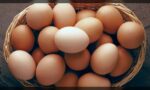 تازہ اور معیاری انڈوں کی شناخت اور ان کے طبی فوائد کا جائزہ