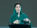 مریم نواز کے صوبوں سے متعلق بیان پر پشاور میں مقدمے کی درخواست دائر