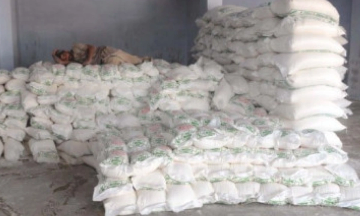 پنجاب میں 20 کلو آٹے کا تھیلا بند کرنے کا فیصلہ