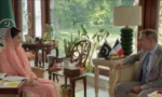 مریم نواز سے فرانسیسی سفیر کی ملاقات، پنجاب میں سرمایہ کاری بڑھانے پر اتفاق