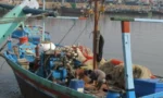سر کریک کے قریب بھارتی فورسز نے 4 پاکستانی ماہی گیر گرفتار کر لیے