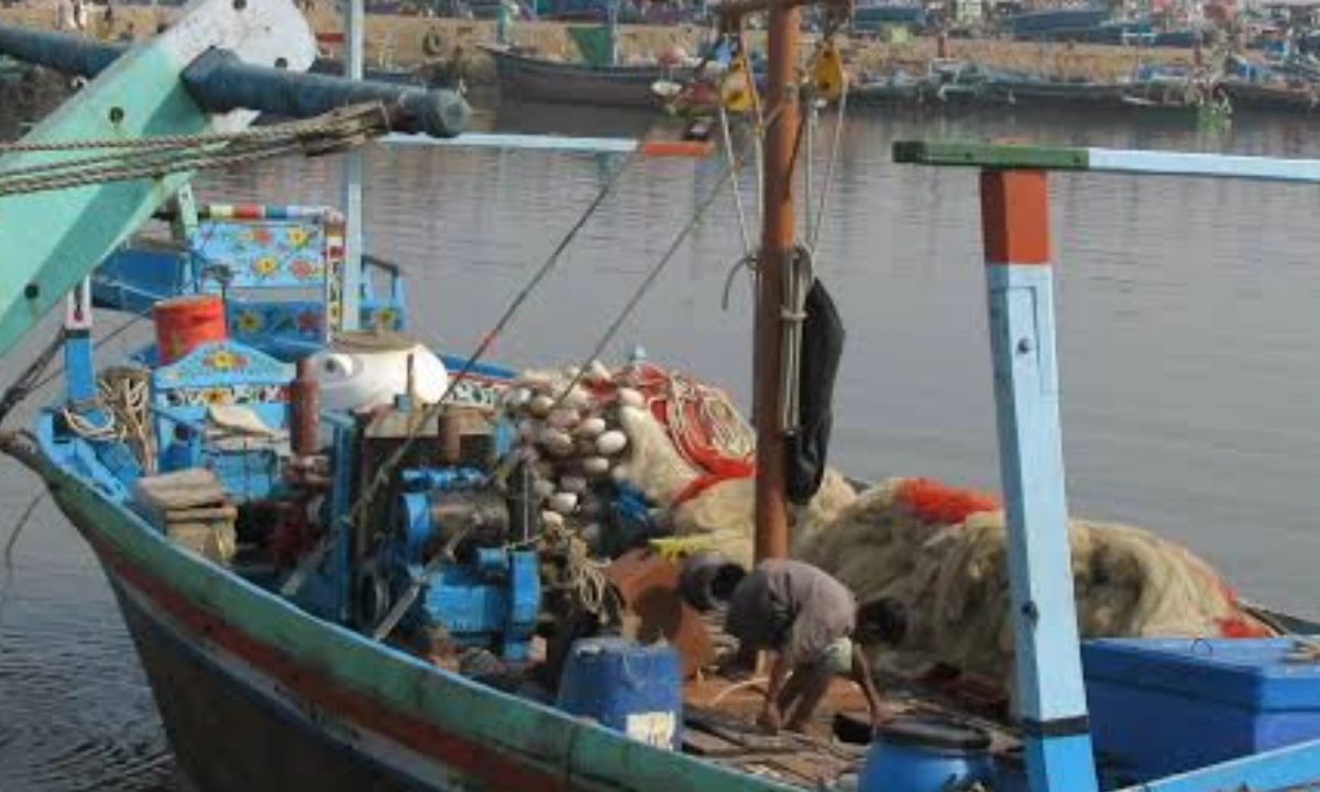 سر کریک کے قریب بھارتی فورسز نے 4 پاکستانی ماہی گیر گرفتار کر لیے