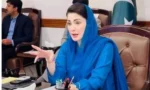 مریم نواز کی انگلینڈ کے خلاف کامیابی پر قومی کرکٹ ٹیم کو مبارکباد