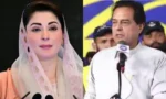 مریم نواز نے عورتوں سے متعلق کیپٹن صفدر کے بیان کا جواب دے دیا
