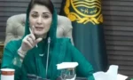 مریم نواز کا پنجاب بھر میں صفائی کا جامع مائیکرو پلان تیار کرنے کا حکم