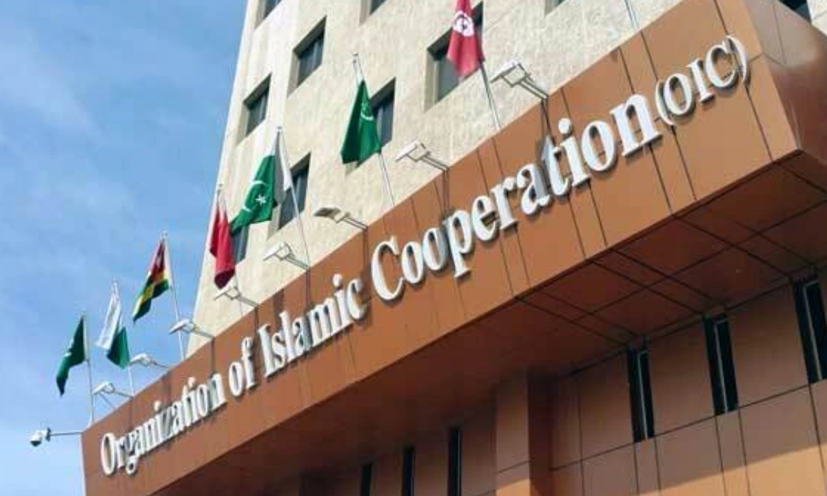 حوثیوں کے حملوں پر او آئی سی کا سخت ردعمل، سعودی عرب کی حمایت کا اعلان