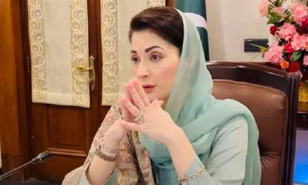 پولیو ورکرز قوم کے ہیرو ہیں، پنجاب سے وائرس کا مکمل خاتمہ ہمارا عزم ہے،مریم نواز