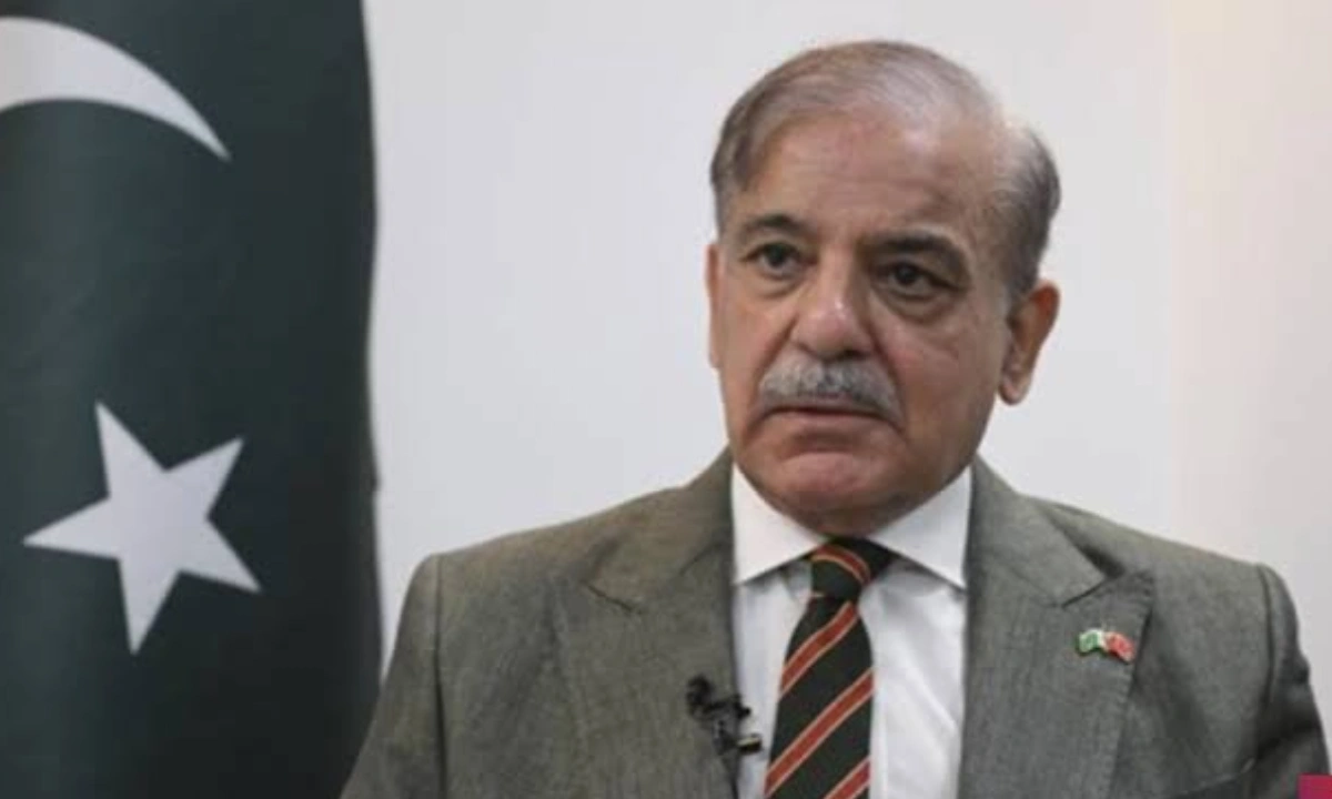 وزیراعظم کی قیمتی پتھروں کیلئے برانڈ پاکستان متعارف کرانے کی ہدایت