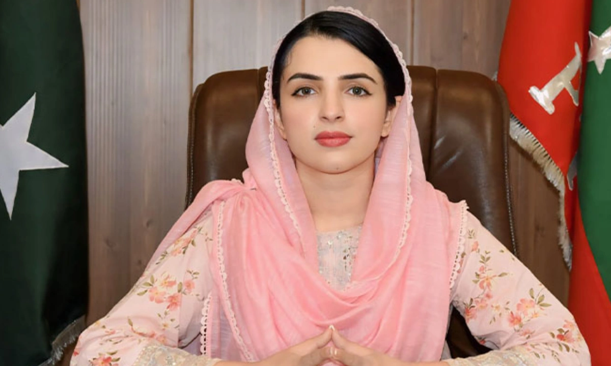 شاہد خٹک، مینا خان اور شفیع جان پارٹی اور عمران خان کے مجرم ہیں،مشعال یوسفزئی