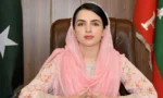 شاہد خٹک، مینا خان اور شفیع جان پارٹی اور عمران خان کے مجرم ہیں،مشعال یوسفزئی