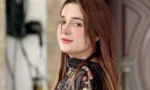 ٹک ٹاکر ندیم نانی والا کی بہن گرفتار،مقدمہ درج