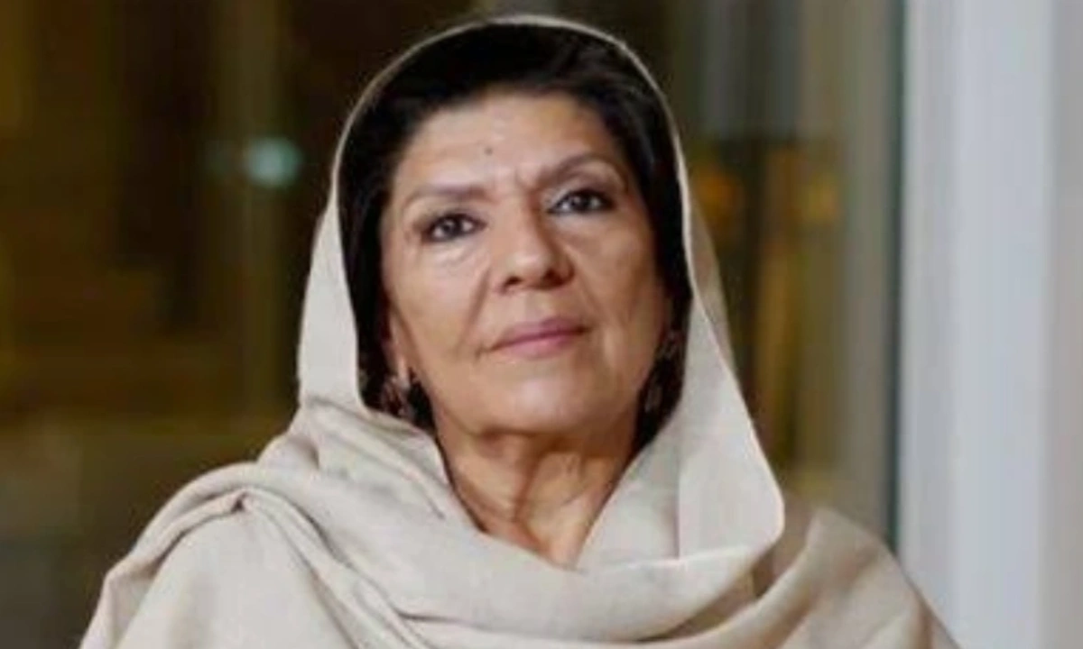 علیمہ خان کے خلاف احتجاج کیس کا فیصلہ 26 نومبر کو سنایا جائے گا