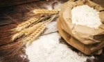 بلوچستان میں گندم کا بحران شدت اختیار کرگیا، آٹے کی قیمتیں بڑھ گئیں