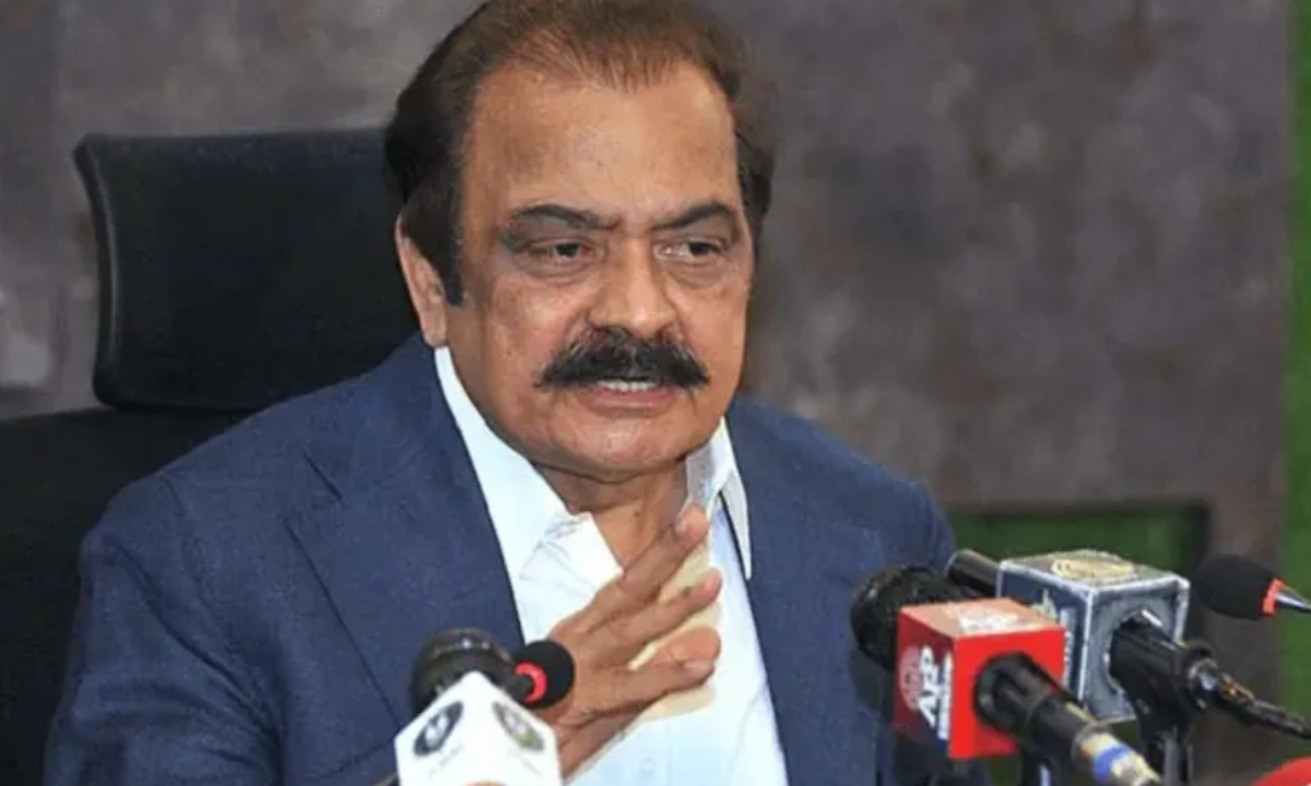 پی ٹی آئی سے مذاکرات میں فوری بڑی پیش رفت کی امید کم ہے،رانا ثناء اللہ