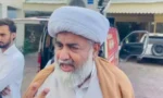 چھوٹی چھوٹی چیزیں تھیں لیکن نتائج تک نہیں پہنچ سکے، علامہ ناصر عباس