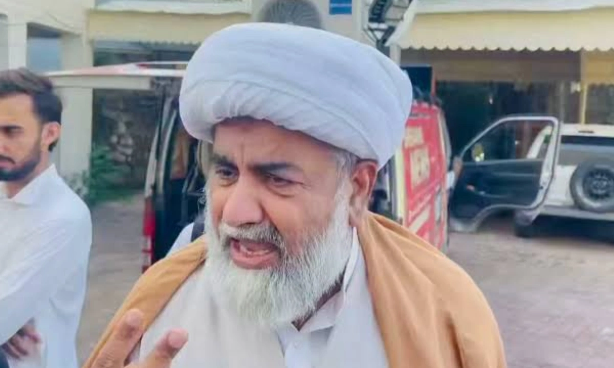 چھوٹی چھوٹی چیزیں تھیں لیکن نتائج تک نہیں پہنچ سکے، علامہ ناصر عباس