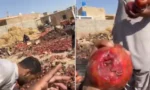 پاکستان سے تجارت بند افغانستان میں انار گل سڑ کر تباہ