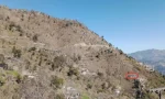 ایبٹ آباد کے علاقے بکوٹ میں واقع جائے وقوعہ کا ایک منظر۔