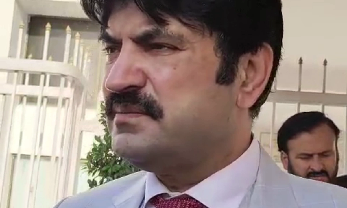 ی ٹی آئی میں ’مارٹونگے‘ گالم گلوچ کرتے ہیں، شیرافضل نے نئی اصطلاح متعارف کرادی
